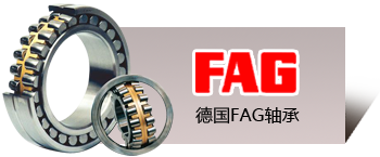 德國FAG軸承